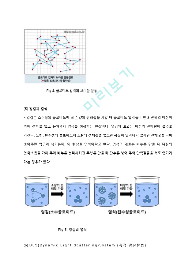 금나노와 은나노 입자의 합성 실험 예비레포트 [A＋].hwp